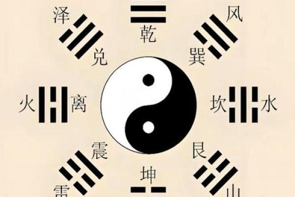 深入了解地支：中华命理中的基本符号