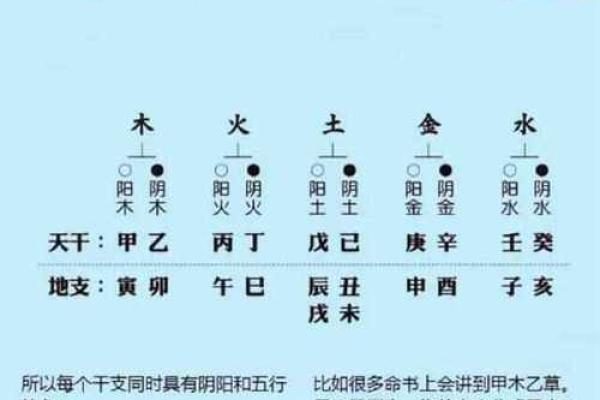 十天干与十二地支的关系与应用全面解析