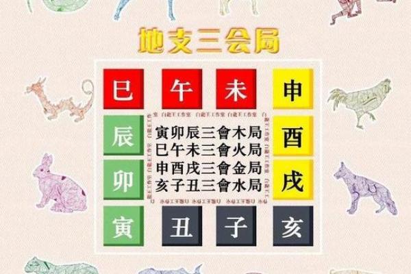 探索十二地支与命理学的关系
