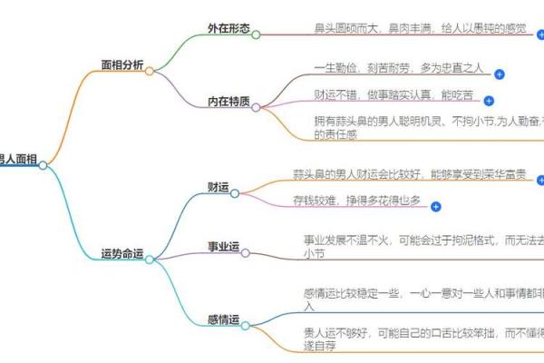 命理研究的深度解析与现代应用