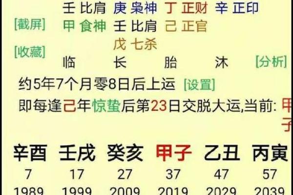 命理预测与个人命运的深度关系