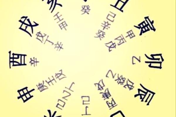 十二地支的起源与含义解析