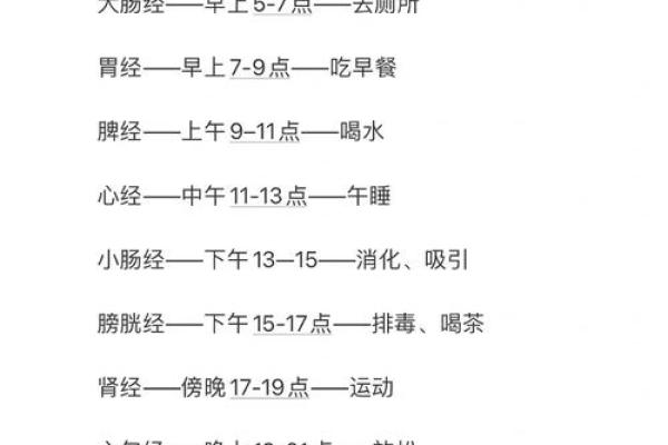 探索十二地支如何影响日常时间观念与命运