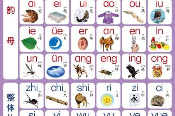深入了解干的发音与记忆方法