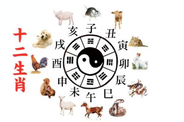 十二地支与生肖的密切关系