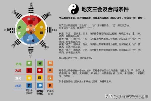 深入了解地支的组成及其数量
