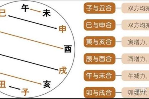探究地支卯酉相冲对命运的深远影响