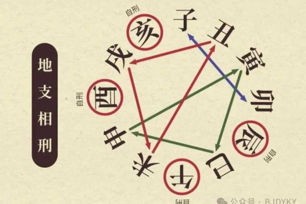 十二生肖如何影响地支运势与命理分析
