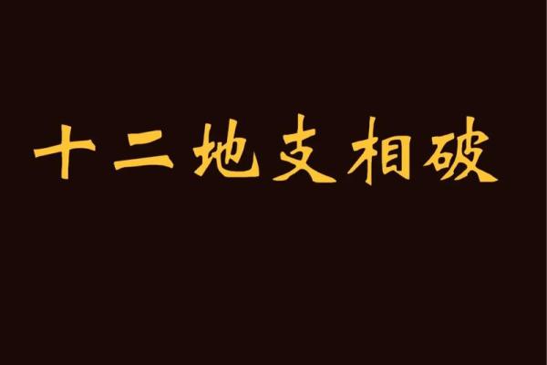 十二地支相破解析：揭示命理中的隐秘冲突与影响
