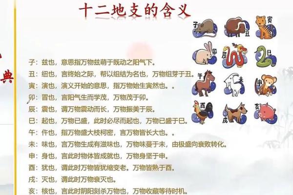 探索十二地支对应的方位及其影响