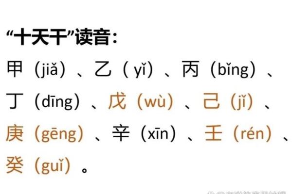 十二地支的发音规律与记忆技巧解析