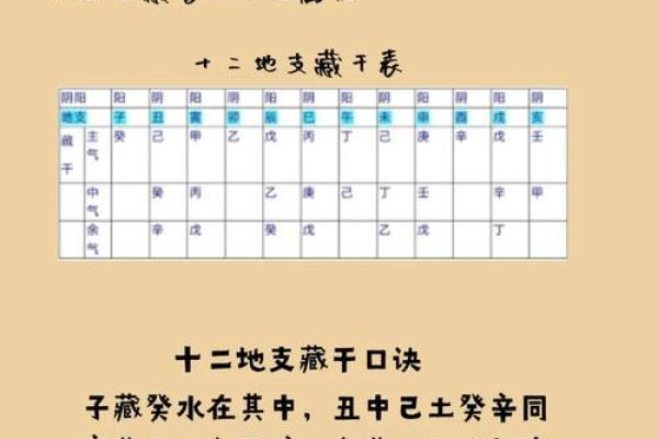 十二地支的发音规律与记忆技巧解析