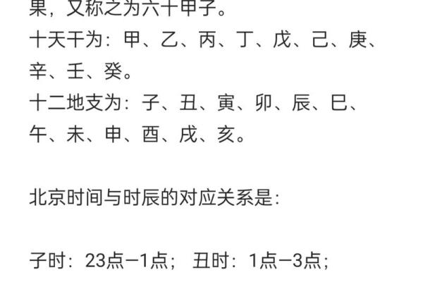 探索十地支在中国传统文化中的重要地位