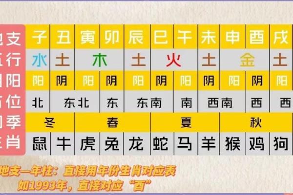 如何通过天干地支解析命运与人生轨迹