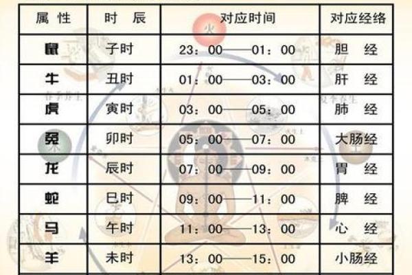 十二地支中的时辰与运势：古人如何解读时间