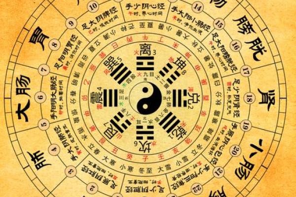 探索天干地支算命：传统命理学的现代应用