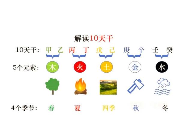 十天干喜忌解析：如何根据五行调整命运运势