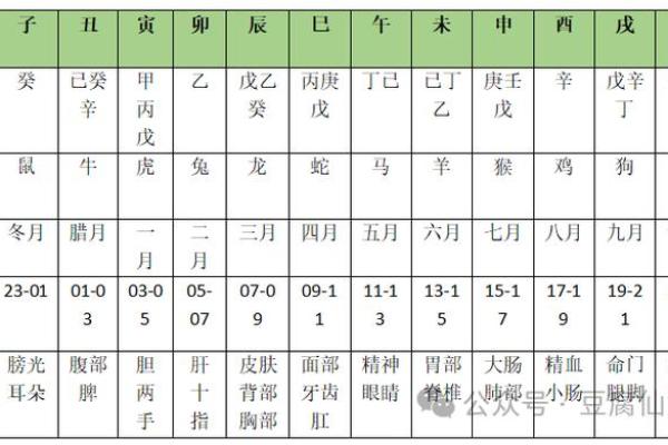 十二地支歌诀助记法全解析与应用技巧