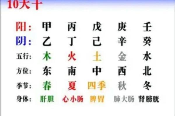 十天干在中国传统命理中的重要作用
