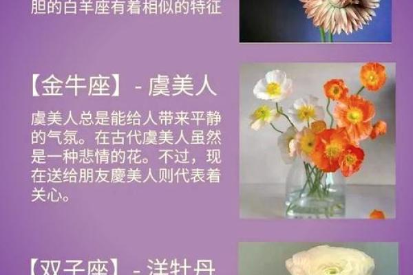 风水大师揭秘：这几种花让你财运亨通，家居必备！
