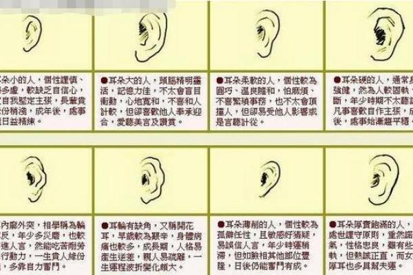 如何利用生辰八字免费查询系统揭开命运之谜