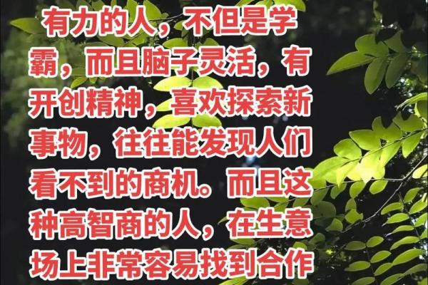 甲食神助力，财富增长不求人