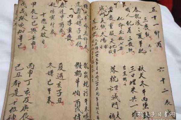 官印地支相冲不可忽视，专业指导助你事业腾飞