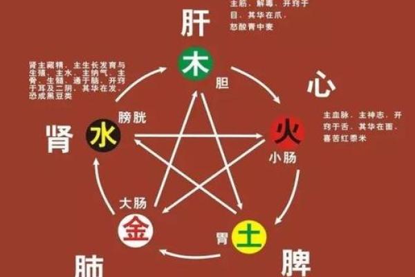 元的五行之探秘：如何影响生活与命运