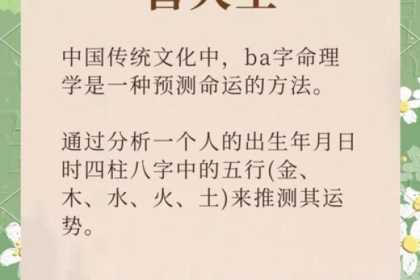 元的五行之探秘：如何影响生活与命运
