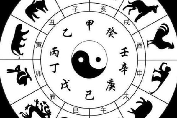 奇门遁甲智慧，十二地支帮你改运