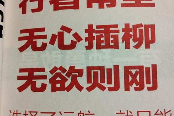 彪悍名字背后的力量与魅力