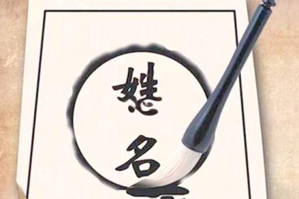 罗裕人生巅峰：姓名中的智慧与运势相融