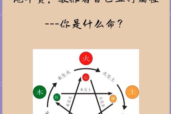 探究志在五行中的属性