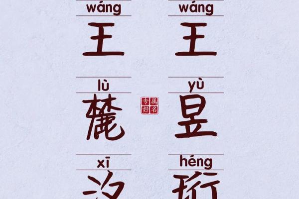 王姓男孩名字文化内涵解读