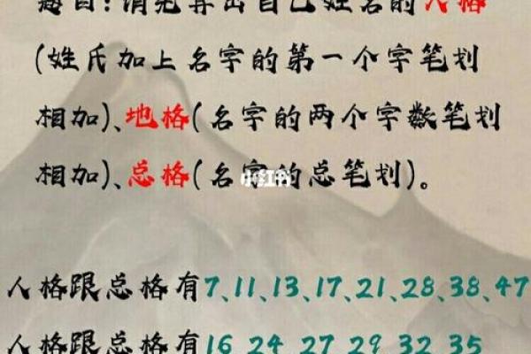 李睿柏：智慧之光，未来可期——揭秘姓名背后的运势密码