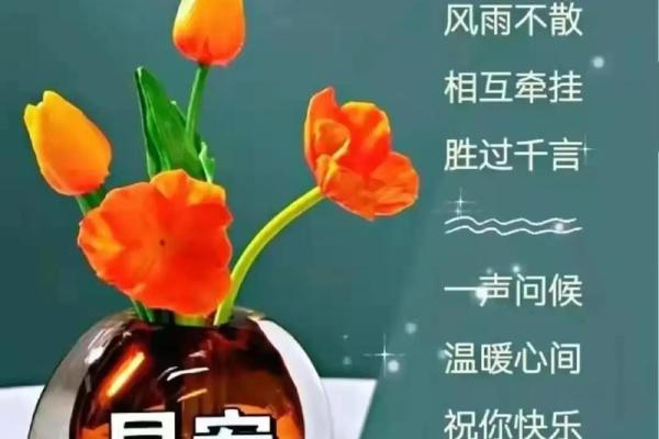 九数人生，幸福安康