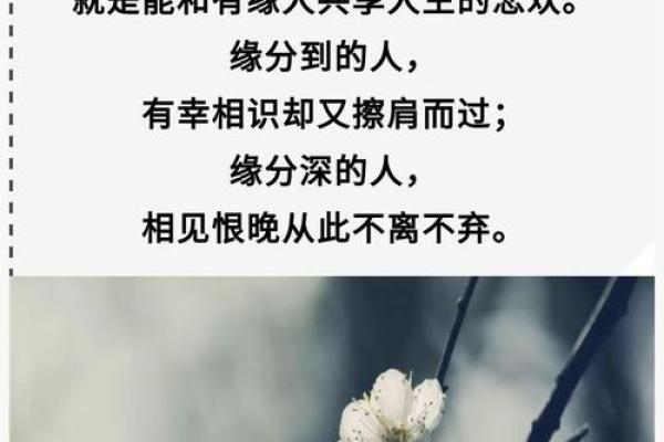 查地支桃花，遇见你的命中注定