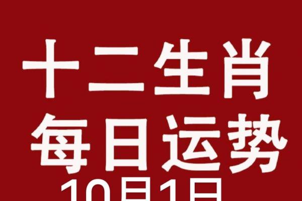 鼠年限定，八字财运亨通，快来解锁你的运势密码