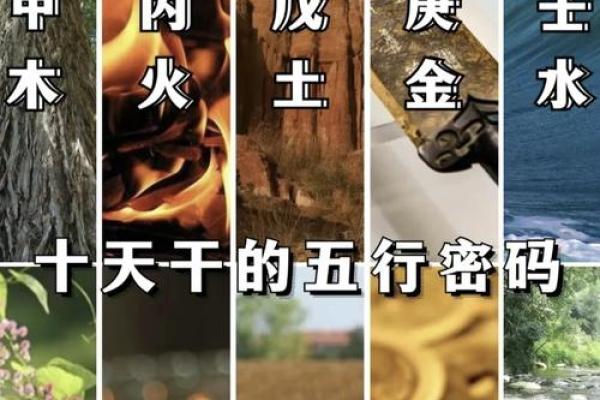 十地支奥秘，探寻古往今来之物象