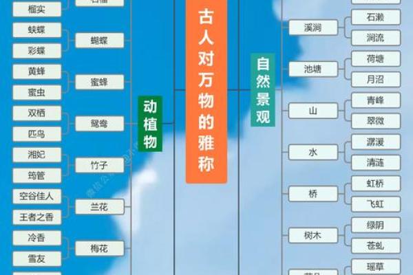 十地支奥秘，探寻古往今来之物象