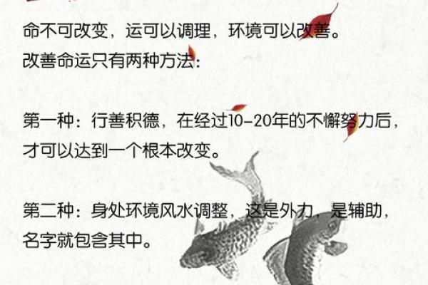 亚字起名公司助力打造独特品牌名称
