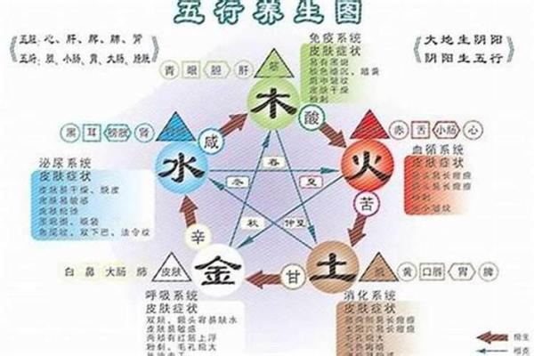 阴土之力，揭秘五行中的神秘力量