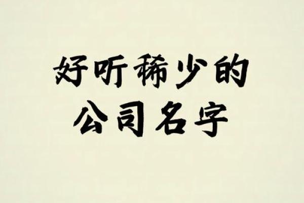如何为贷款中介公司起个独特且吸引客户的名字