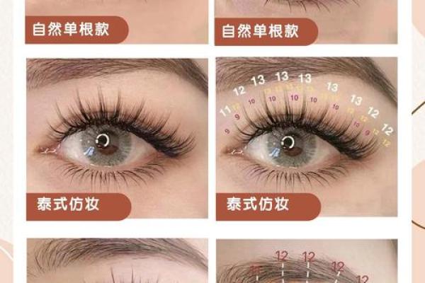眼睫毛的秘密：揭示面相中的魅力密码