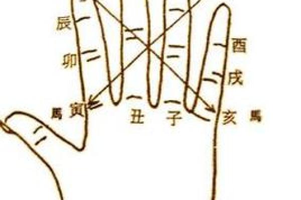 地支之谜：桃花的秘密藏匿其中