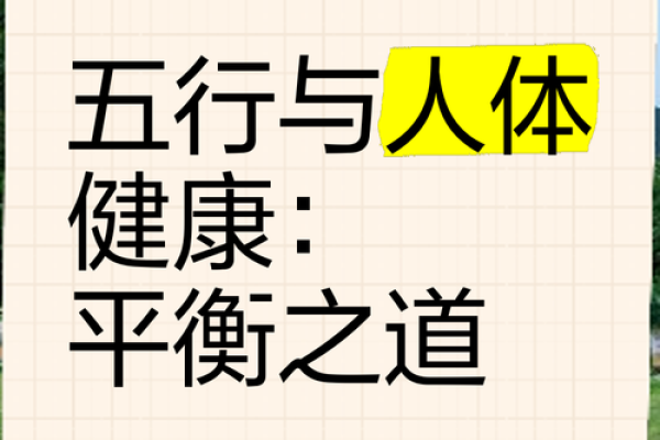 熙五行与健康：五行调和的养生之道