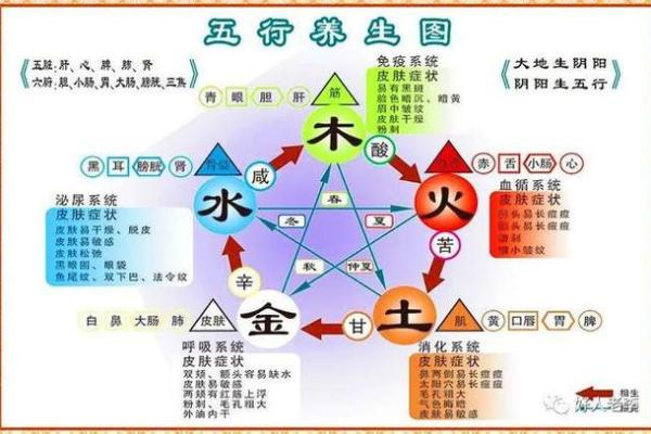 从五行角度看曲字的寓意