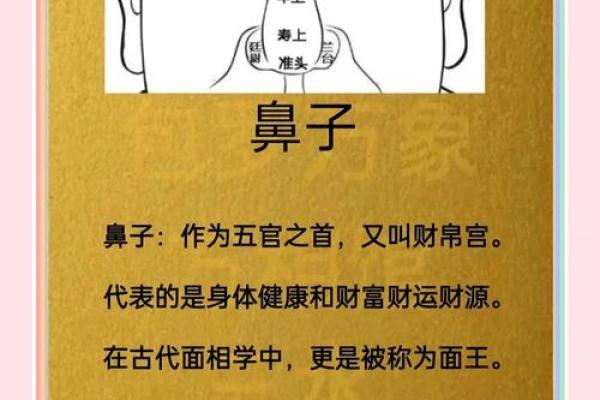 鼻尾塌面，财运如何？