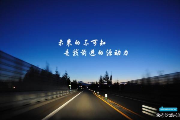 毛柏林：文质彬彬，柏林之巅，未来可期