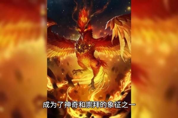 羽毛在五行中的角色和影响